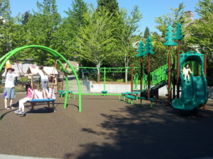 Forest Ridge Park Bellevue Wa 5